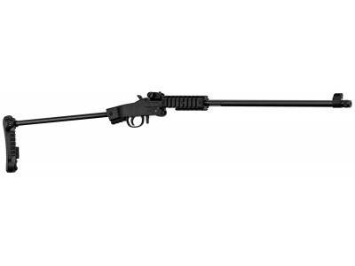 Carabine 22LR Long Rifle - 24h chez vous - Armurerie Centrale