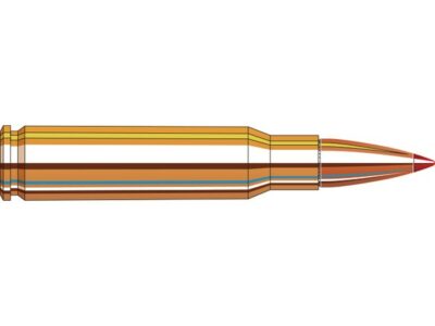 308WIN SST HORNADY (boîte de 20)
