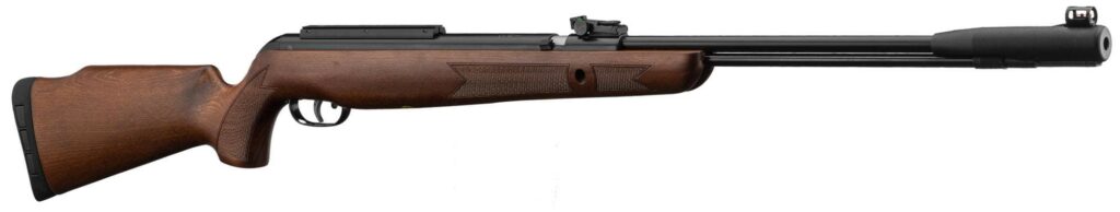 GAMO CFX ROYAL 4.5mm 19.9j