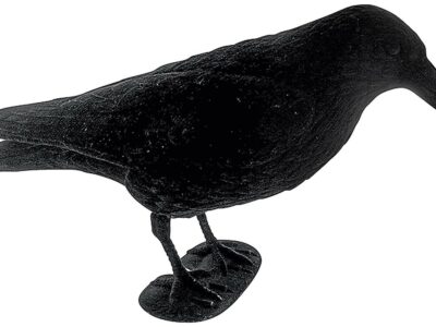 APPELANT CORBEAU FLOQUÉ