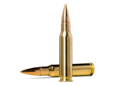 308 NORMA GOLDEN TARGET 168Gr (boîte de 20)