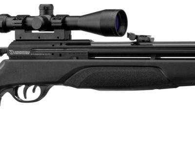 PACK GAMO ARROW PCP 4.5mm 19.9JOULES LUNETTE + POMPE