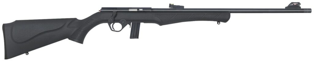 ROSSI 8122 22LR + LUNETTE + HOUSSE + SIL