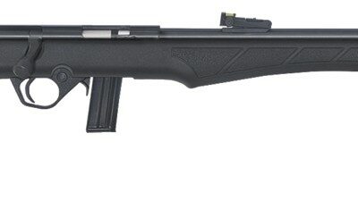 ROSSI 8122 22LR + LUNETTE + HOUSSE + SIL