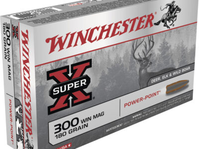300 WIN MAG WINCHESTER POWER POINT (boîte de 20)