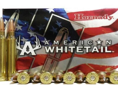 HORNADY 300 WIN MAG 180GR INTERLOCK AW (BOITE DE 20)