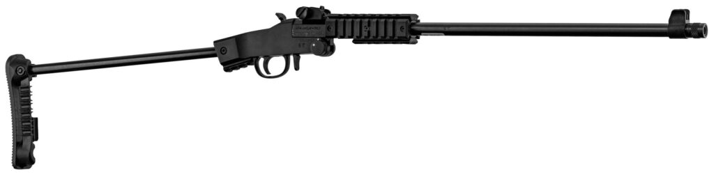 CHIAPPA LITTLE BADGER XTREM NOIR CAL 22LR