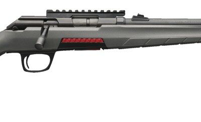 WINCHESTER XPERT SYNTHETIQUE CAL 22LR 46CM