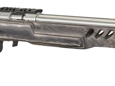 RUGER AMERICAN RIMFIRE TARGET INOX CROSSE TROU DE POUCE LAMELÉE