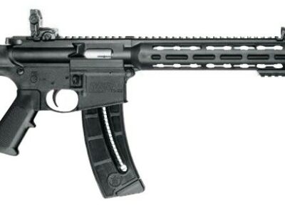 SMITH & WESSON MP15-22 SPORT 16,5" 22LR