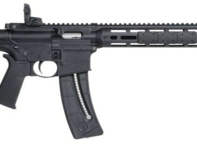 SMITH & WESSON MP15-22 SPORT MOE SL 16,5" 22LR