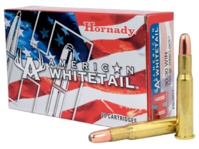 30-30WIN SP INTERLOCK HORNADY (boîte de 20)