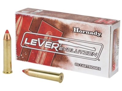 HORNADY 45/70 GOVT 325 GRS FTX X 20