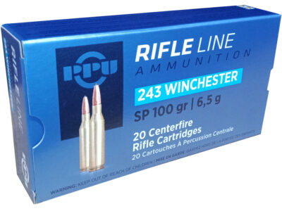 243 WINCHESTER SOFT POINT 100 GRAINS