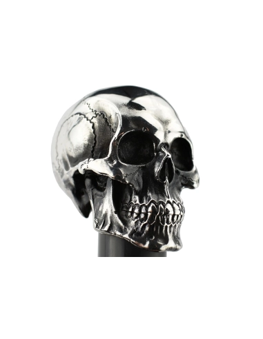 canne-skull-par-paul-chen (2)