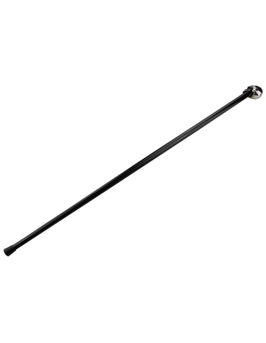 canne-skull-par-paul-chen (3)