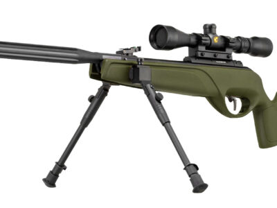 GAMO HPA Mi Jungle 3-9x40WR avec bipied double