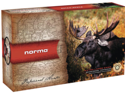 NORMA 300 WM PLASTIC POINT 180 GRAINS